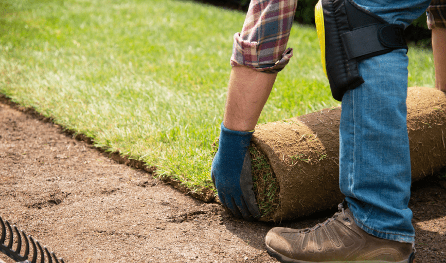 SOD INSTALLATION